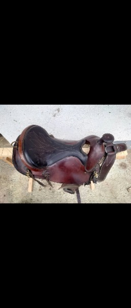 Sharon Saare Westernsattel