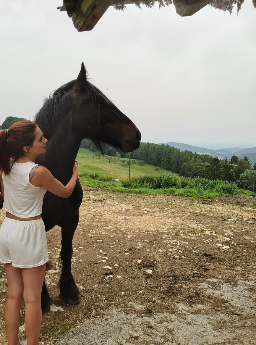 Sanfte Stute 2.5-jährig sucht ein für immer Zuhause