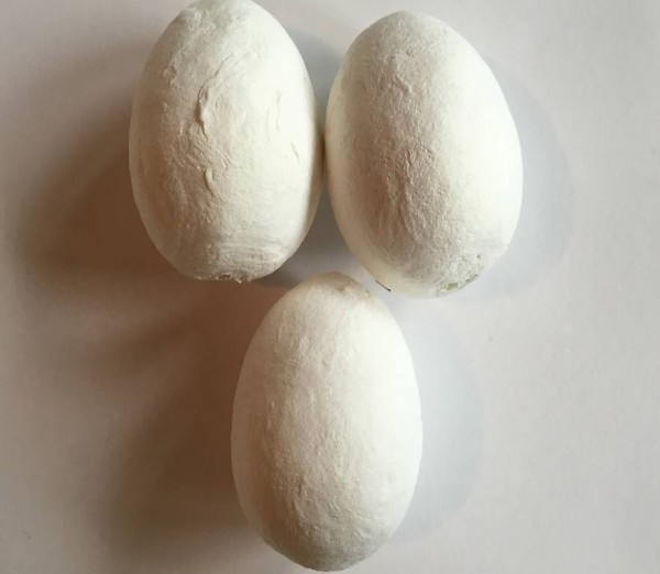 Watte Eier gross 55x40cm