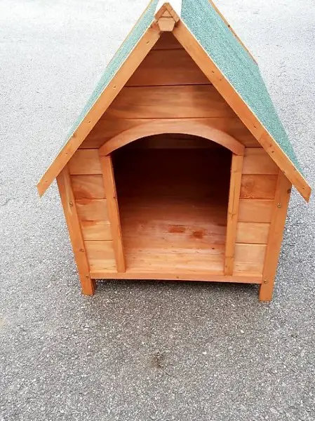  Vendo NUOVA Cuccia per il cane