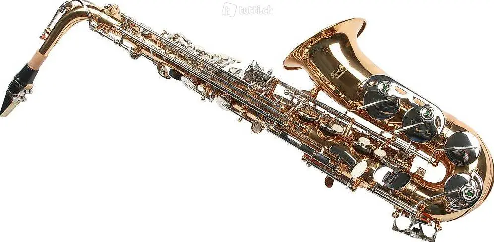 NEU Alt Saxophon Messing + Chrom