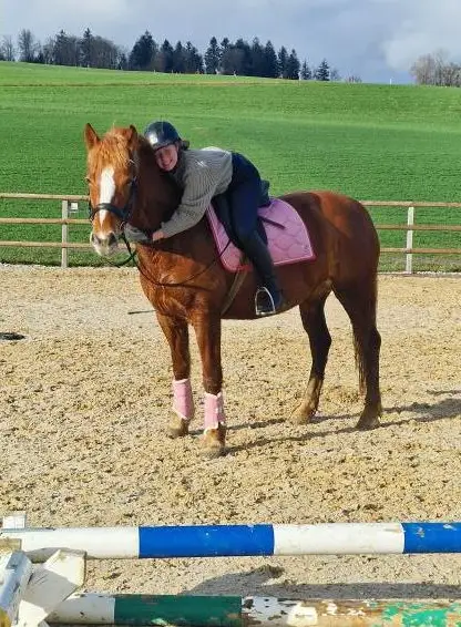 Reitferien auf dem Reit-, Zucht und Ausbildungsstall