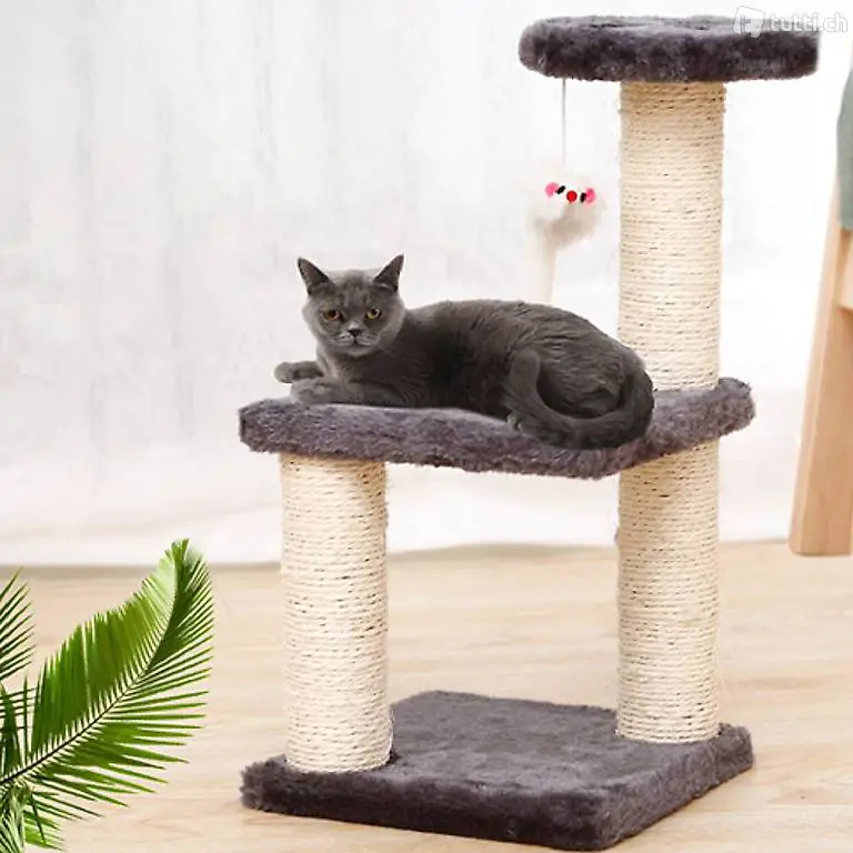  NEU Katzenbaum medium