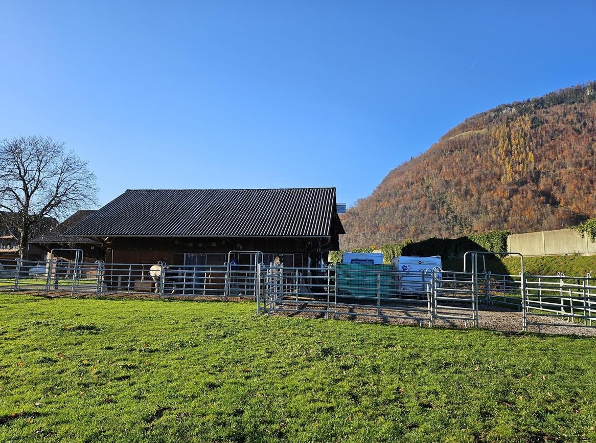 Privatstall bietet Gruppenplatz in Stans NW