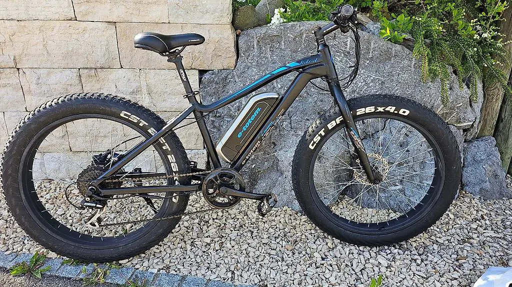 E-Bike Fatbike mit Hydraulische Bremsen im TOP Zustand