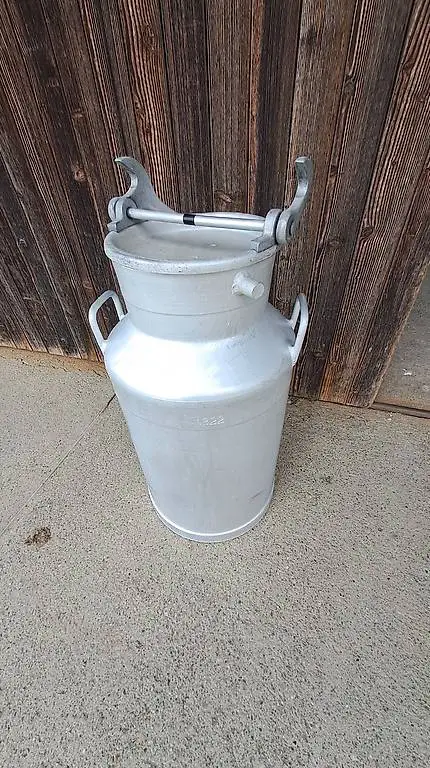 Milchkanne Milchtause 50 liter sauber