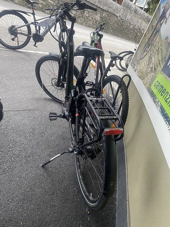 Flyer E-Bike Gotour 5