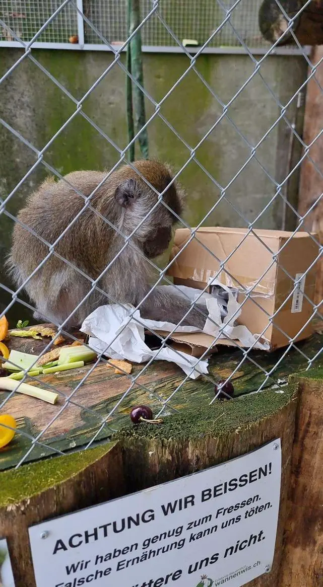 Praktikum als Tierpfleger/in auf Erlebnis-Bauernhof