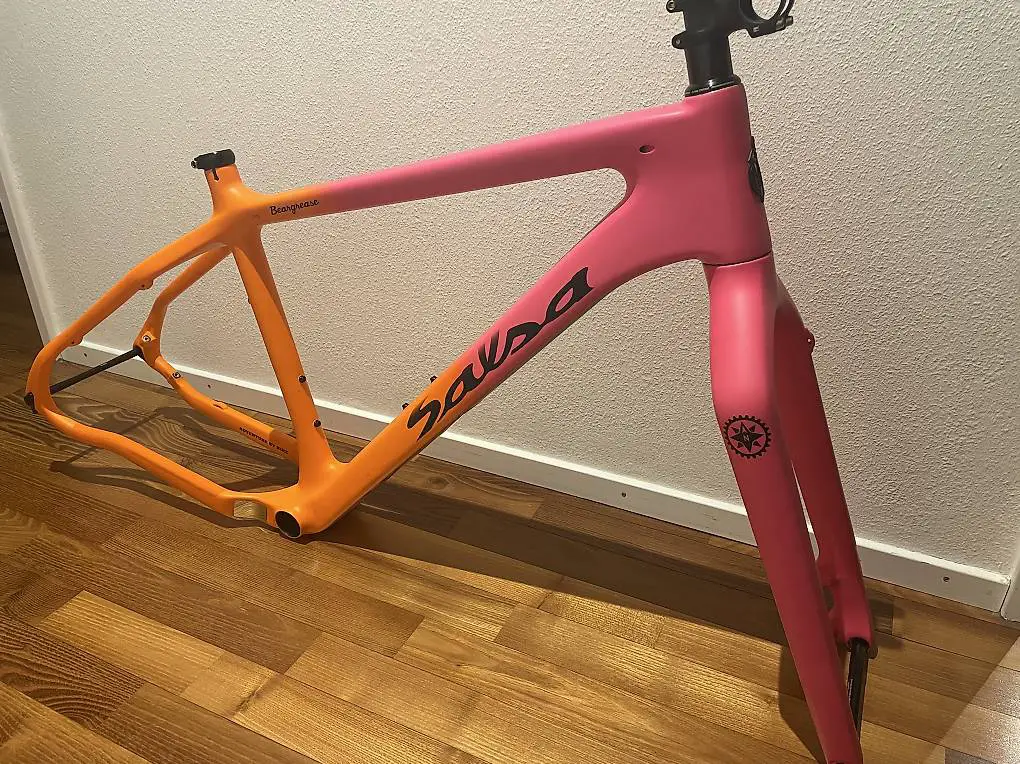 Fatbike Rahmen Salsa Beargrease L - wie NEU