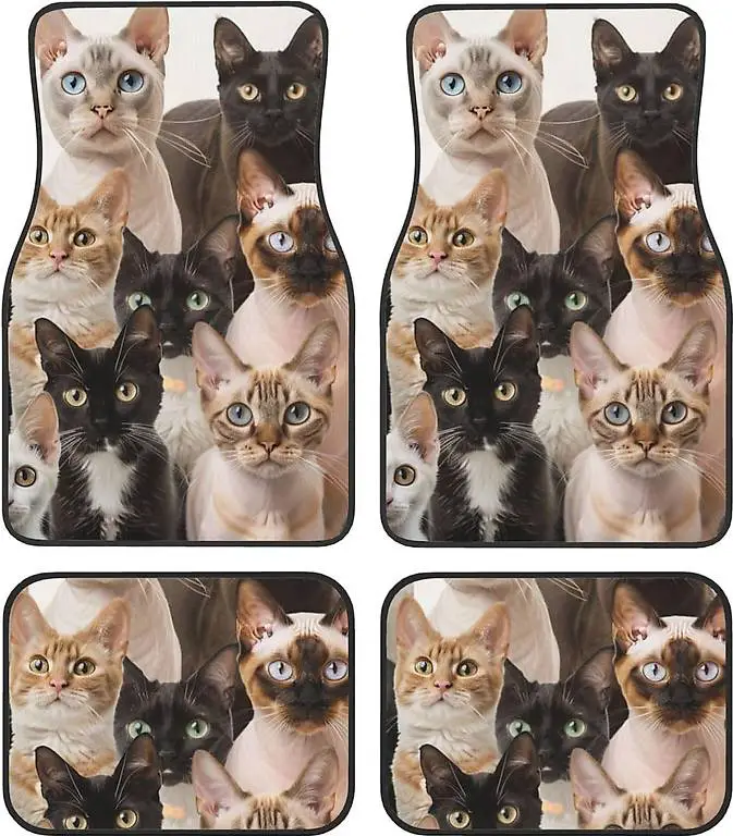 Auto Fussmatten Set mit 4 Stück Autoteppich, Lustiges Hipster