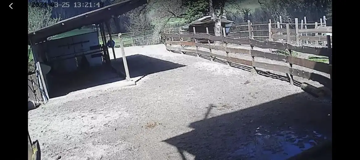 Vermieten Offenstallplatz in Fisibach im Aargau