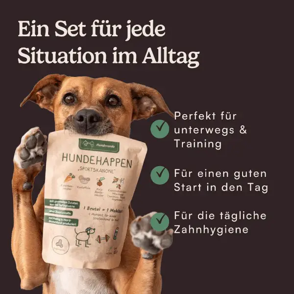 Bestseller Sparset Hunderunde Leckerli-Tasche