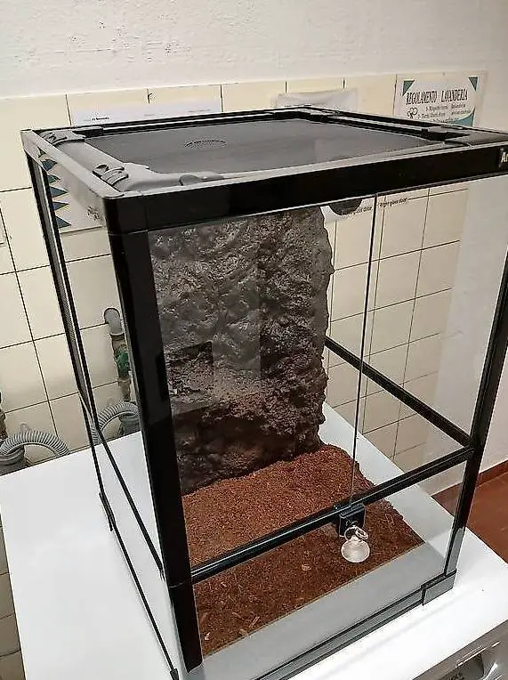 Terrario roditori/rettili,60x40x40, buono stato, pulito