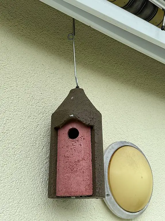 Schwegler Nisthöhle mit Flugloch Ø 32 mm, halbjährig