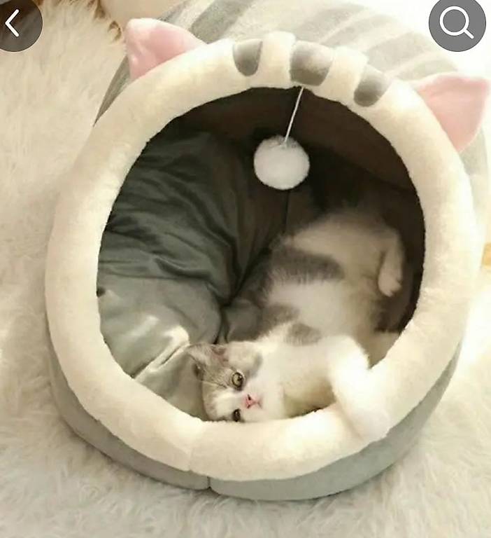 Casetta per gatto come NUOVA