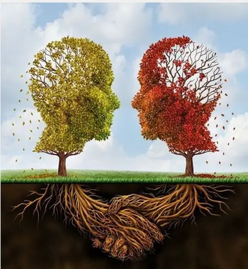 Zertifiziertes Managerseminar 1 v. 3 auf einem höheren Level