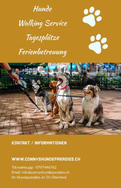 Hundebetreuung, Dogwalking