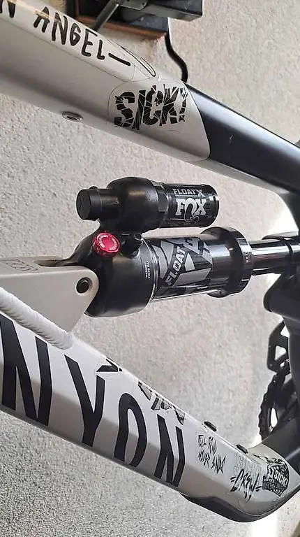 Canyon Spectral 29 AL5 2023 M