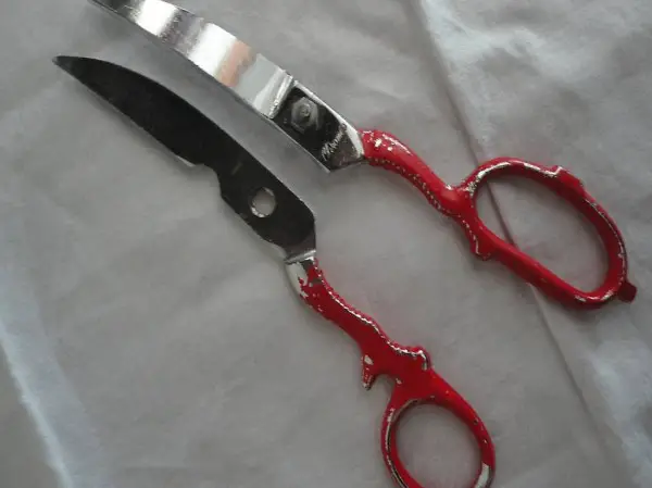  Schere Geflügelschere, Pouletschere, Doppelschere