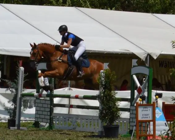 Reitbeteiligung in 4585 Biezwil SO