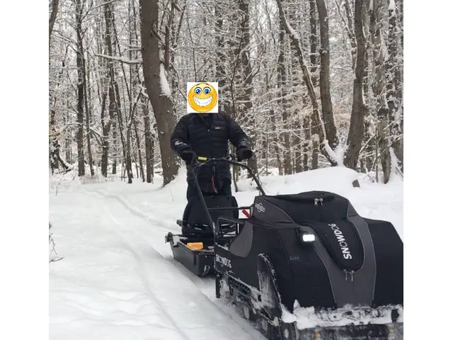 Snowdog, Motorschlitten