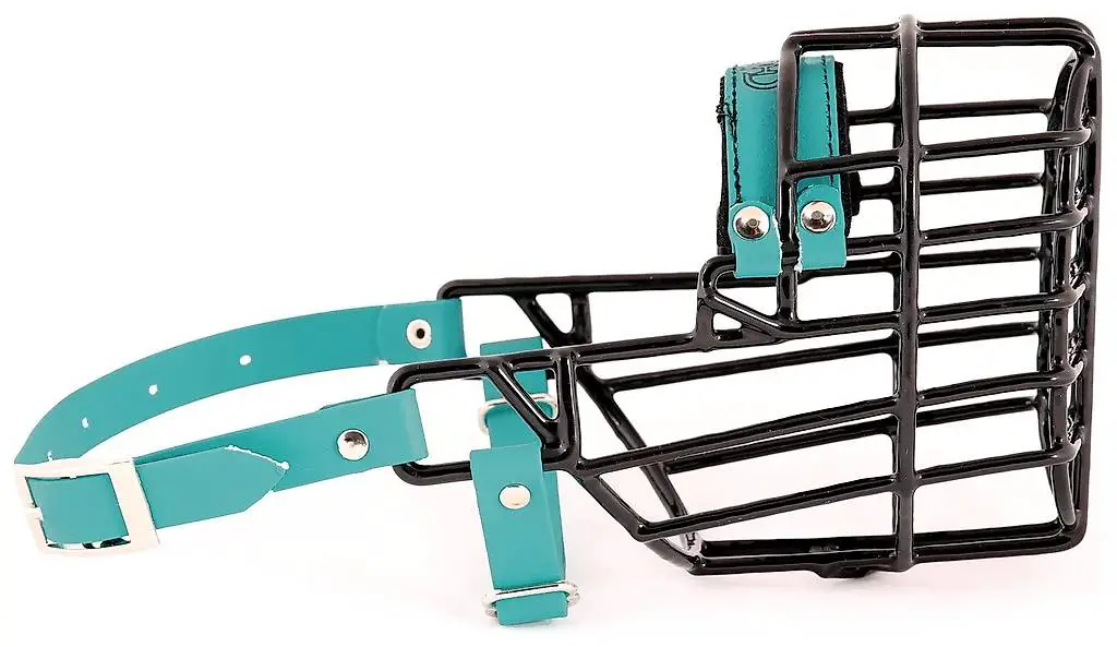 Muselière en fil métallique caoutchouté Cocker femelle Chopo