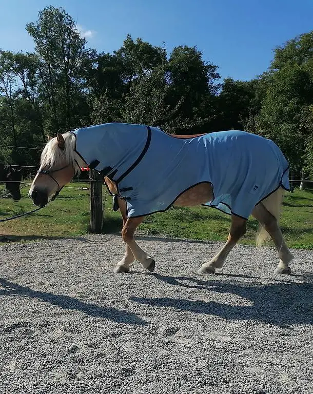 Fliegendecke zum Ausreiten mit Halsteil