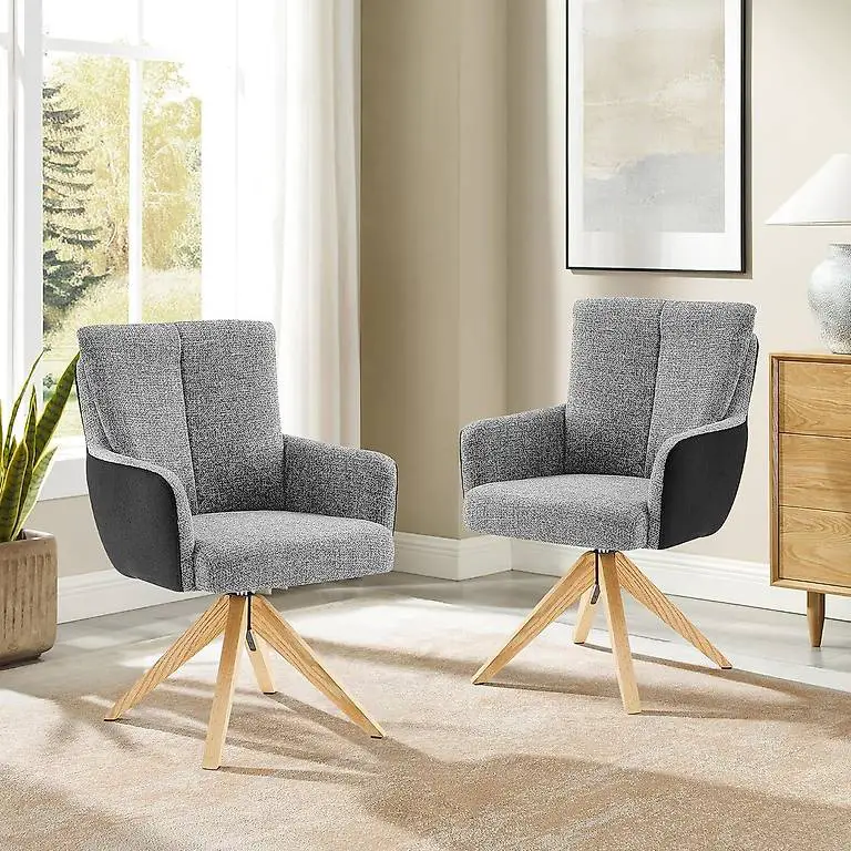 Zouron 2er Set Armlehnenstuhl Sessel Gepolsterter Armlehnens