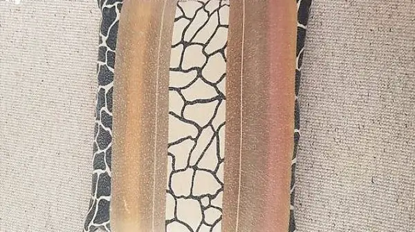 Kissen braun (Zebradecor)