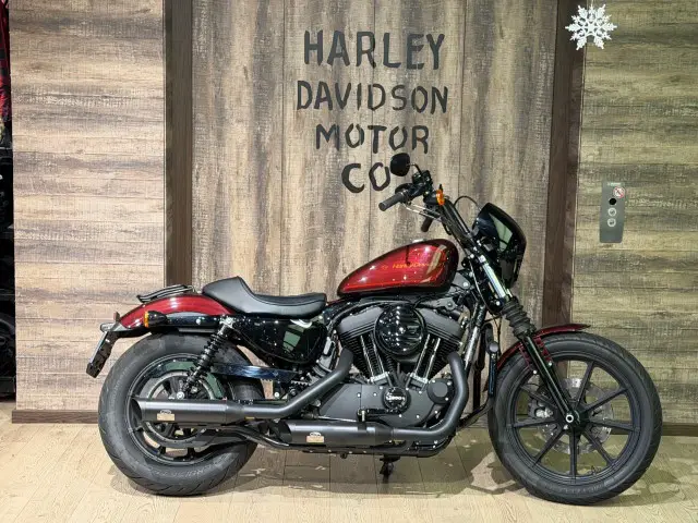 harley-davidson xl 1200 ns sportster iron