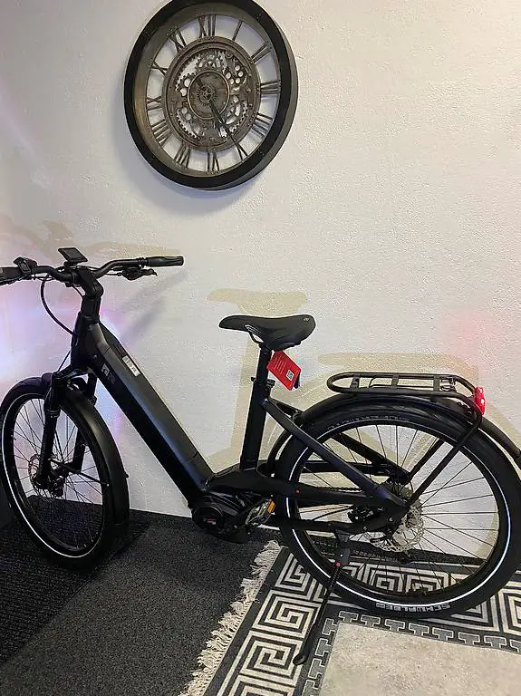 Cresta E Viva Neo + 2024 E-Bike Velo Fahrrad CX 85nm