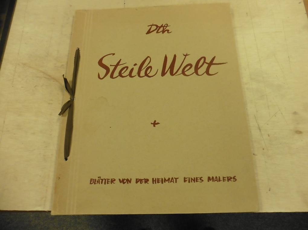 Steile Welt. Danioth Heinrich.