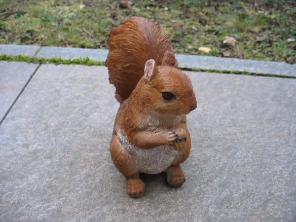 Deko Eichhörnchen