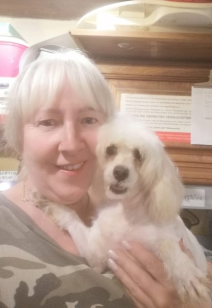 Maltipoo Weibchen im Canile