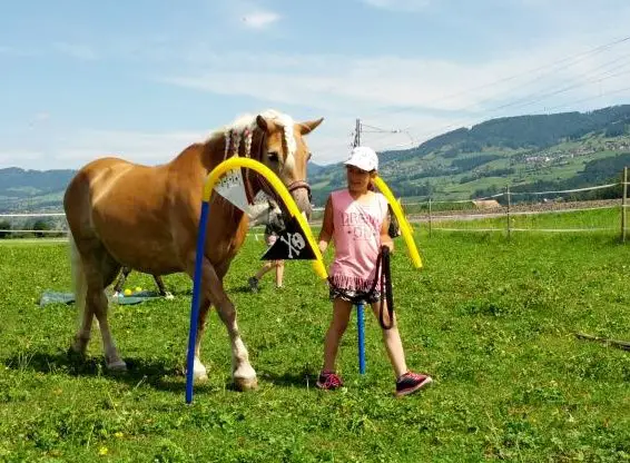 Reitunterricht, Ponyplausch & geführte Ausritte für Kids ab 5 Jahren