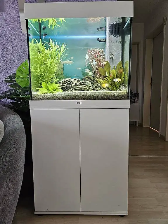 Aquarium Weisses Juvel mit Innenfilter und ein paar Zierfisc