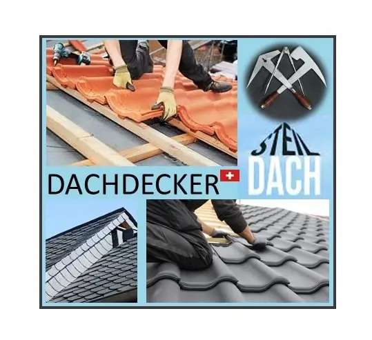 Dachdecker (Steildach) CH-Kt. BE/Bern - per sofort