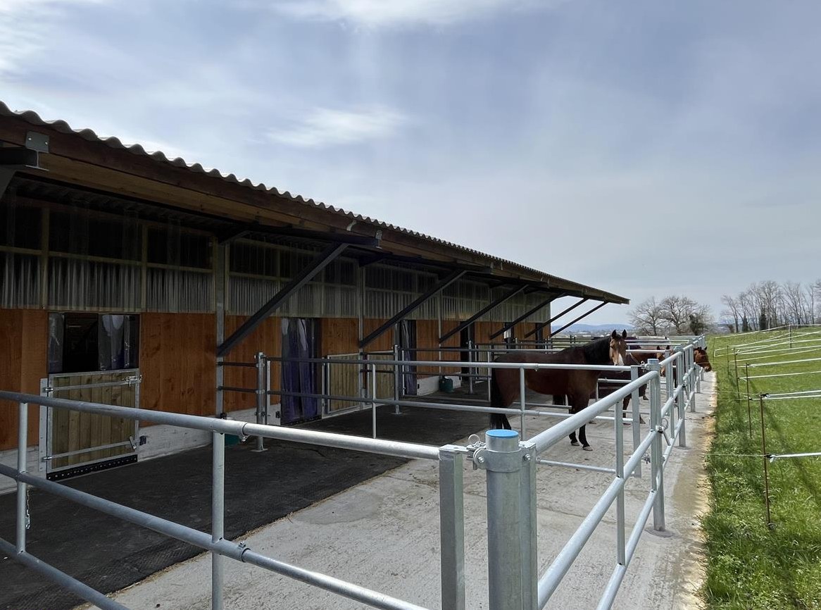 Auslaufboxe mit direktem Weidezugang, 8602 Wangen ZH