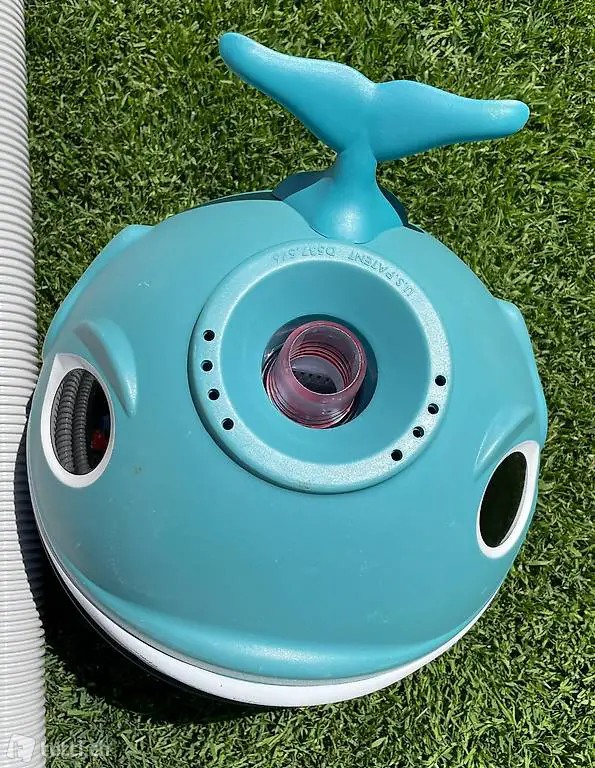 Poolsauger Whaly Poolreiniger