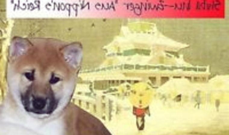 Shiba Inu Zucht aus Nippon"s Reich, die Top Adresse in Sachsen