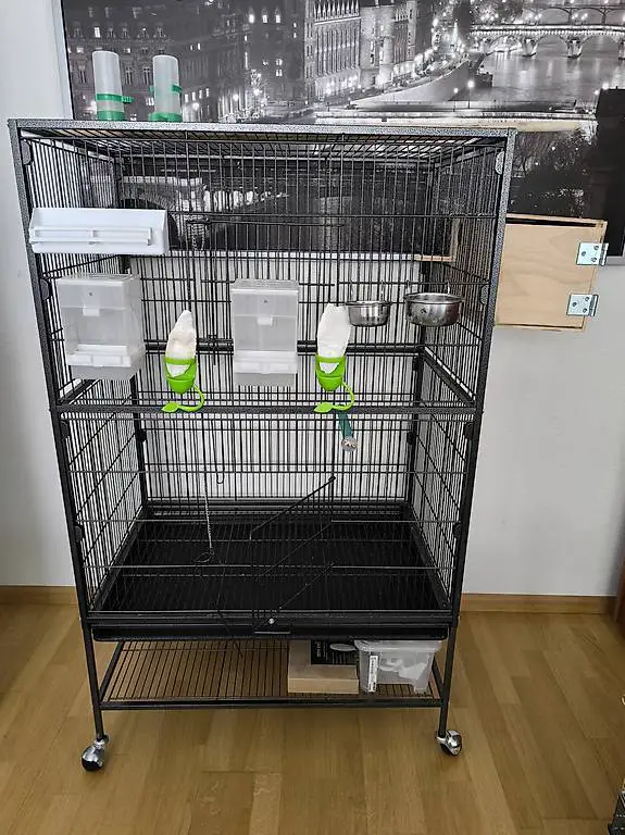 Vogelkäfig, Vogelvoliere