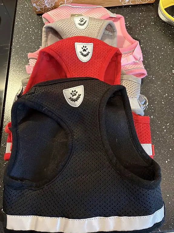 Hunde-Gestell & Hundeleinen