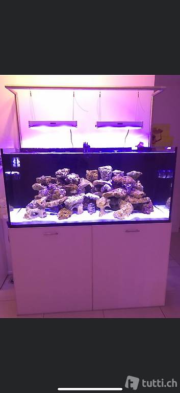 Acquario Marino completo di tutto