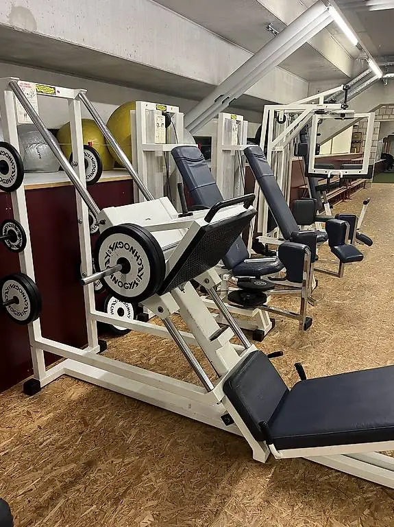 Beinpresse Technogym