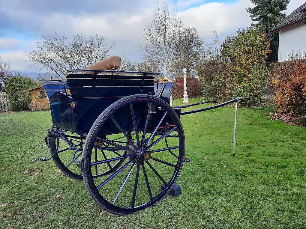 Kutsche mit Geschirr & Kopfteil
