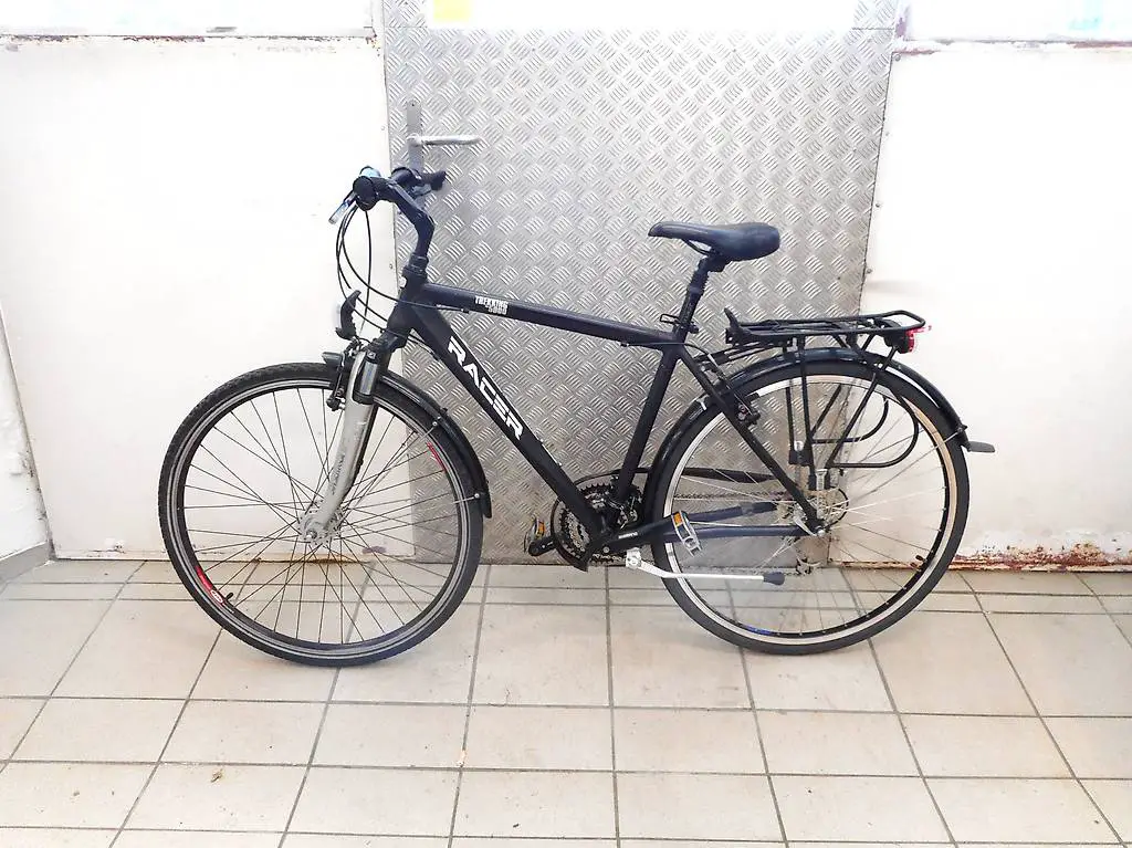 Occasion Herren Trekking Bike