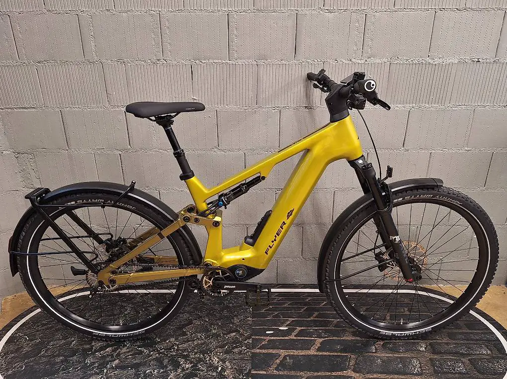 flyer goroc tr: x 8.63 m curcuma pinion mgu e bike suv top