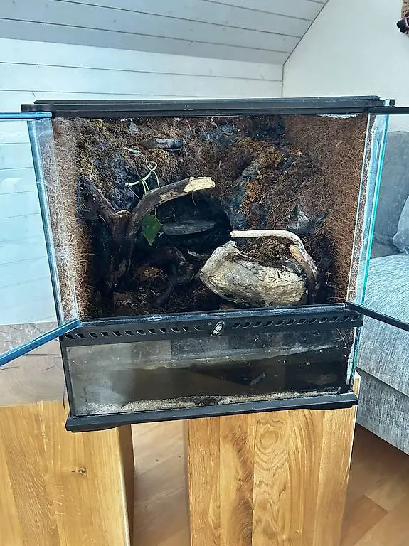 NaN Exo Terra Terrarium 45x45x45cm