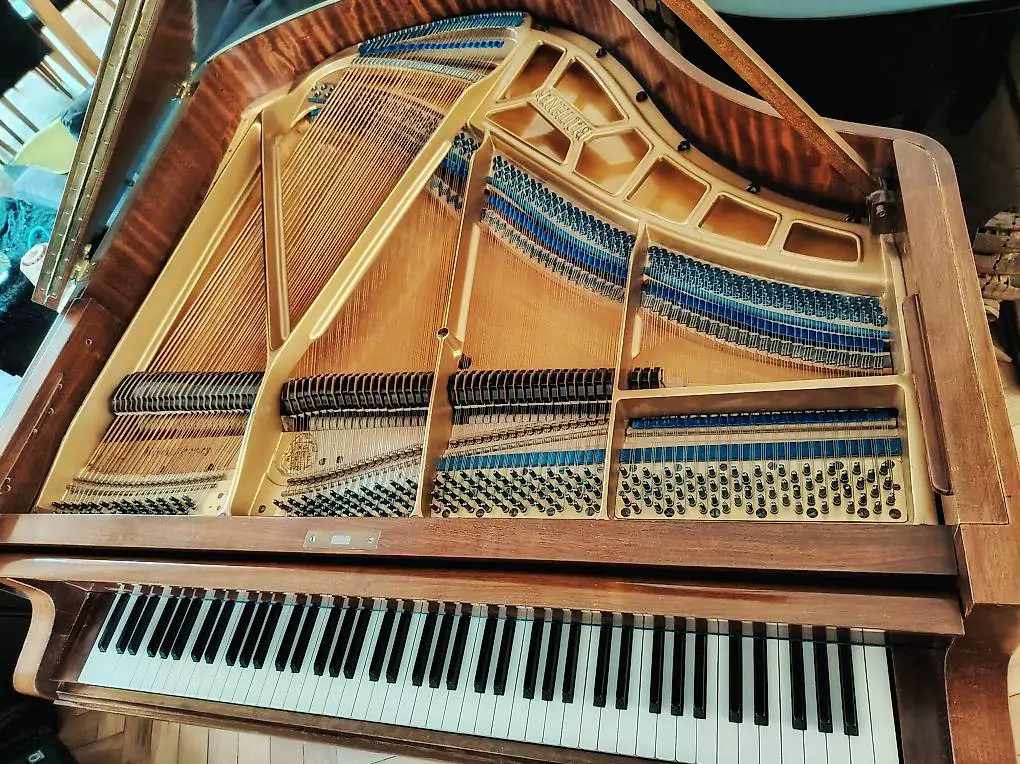 Flügel Stutzer Blüthner