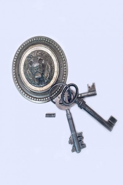  Antike Schlossabdeckung LÖWENKOPF